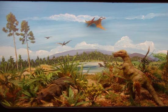 Geologisch Museum Hofland