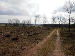 Elsterberg