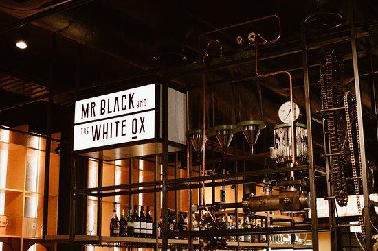 Mr. Black And The White Ox