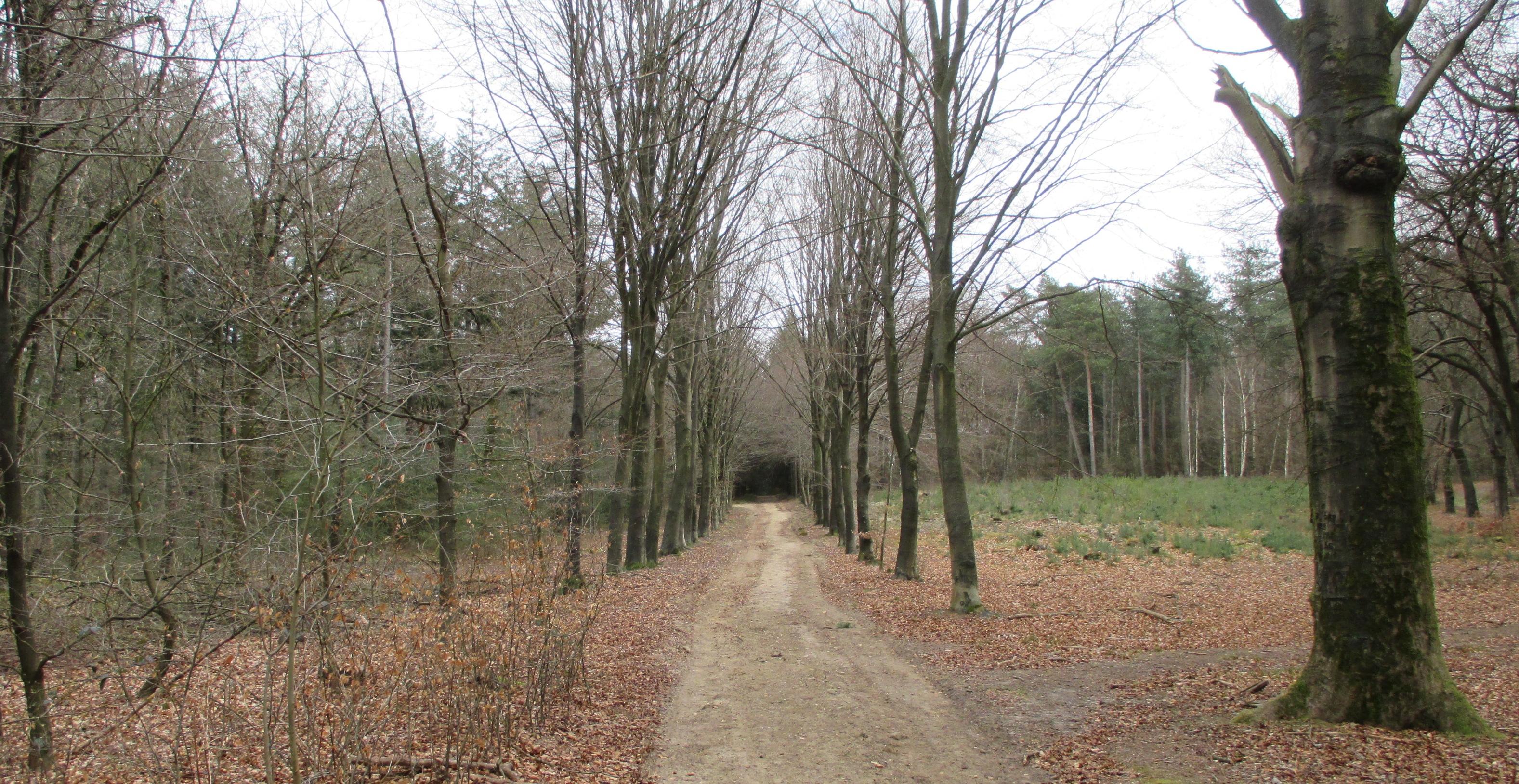 Paasheuvel