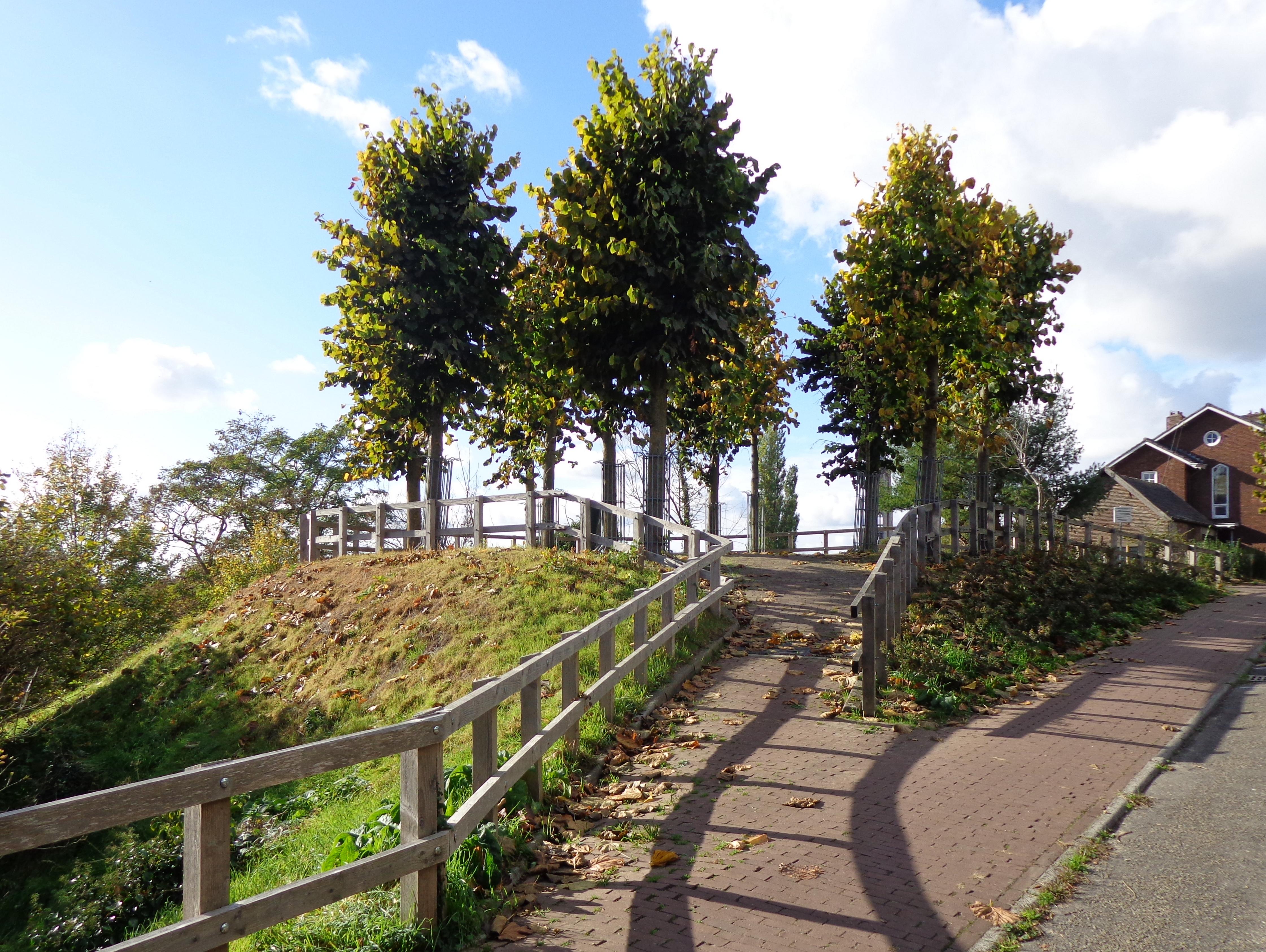 Cuneraheuvel