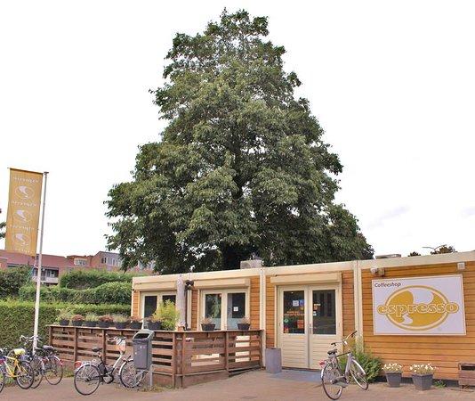 Coffeeshop Espresso